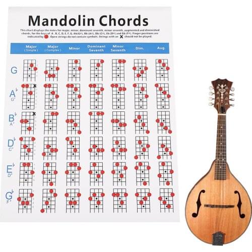 Mandolin Beginner Practice Chord Chart Fretboard Instructional Exercise Poster