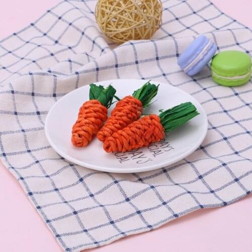 3Pcs Carrot Shaped Rabbit Hamster Chew Bite Toys Guinea Pigs Tooth Cleaning Toys
