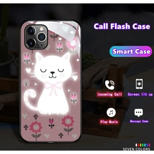 3D Cute Animal Cat Phone Bumper For iPhone 11 12 Pro XR XS Max X 6 7 8 Plus Shockproof Glass Case Sound Acoustic Control