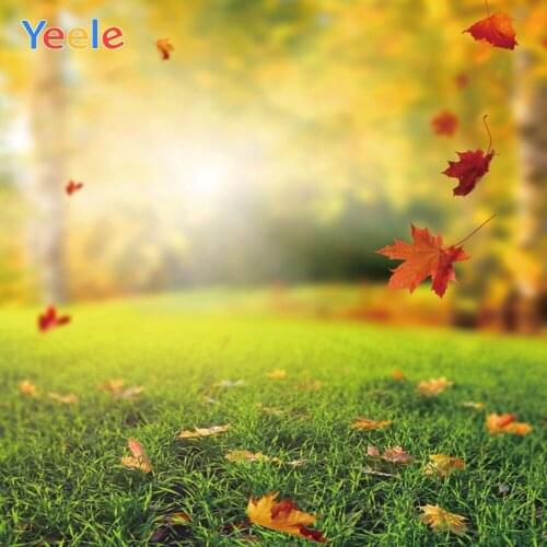 Yeele Photography Autumn Backdrop Forest Grass Leaves Baby Shower Children Background For Photo Studio Photocall Photophone