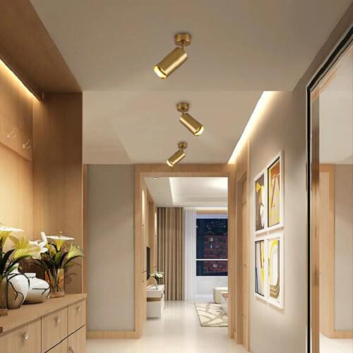 Dimmable golden shell Surface Mounted 12W LED downlight Ceiling Lamp COB LED spot lights AC220V AC240V Ceiling Fixtures Lighting