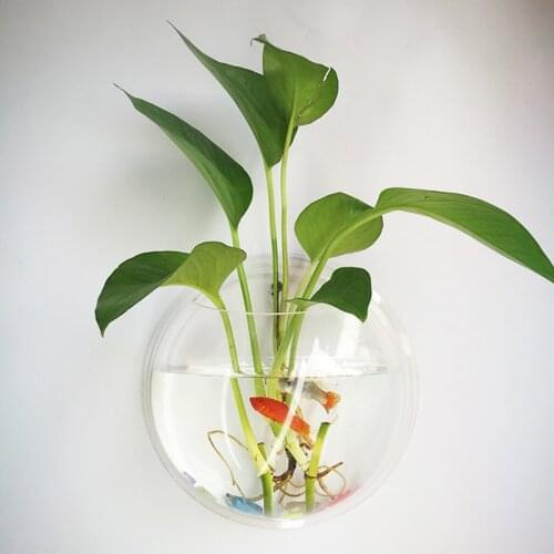 Brief Transparent Hanging wall plant flower vases Home Decor fishbowl supplies home ornament