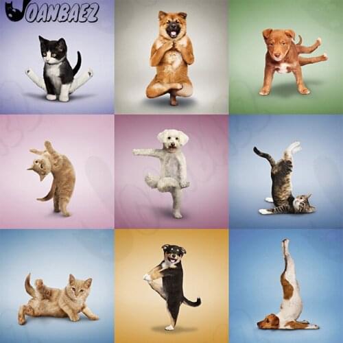 Acrobatic Animal Diamond Painting Cat and Dog Splits 5D Diy Art Wall Stickers Diamond Embroidery Mosaic Room Decoration Gifts
