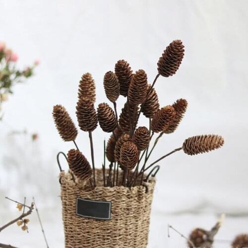 DIY Craft Accessories Natural Pinecones Lotus Cotton Floral Preserved For Decor Christmas Ornaments Shooting Props Dried Flowers