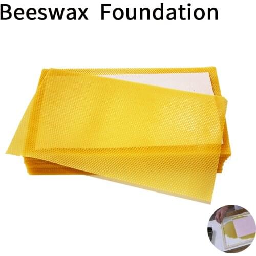 30PCS Beekeeping Product Beeswax Comb Foundation Apis Mellifera Honeybee Bee Wax Sheet Equipment For Beekeeper Tools Suppiler