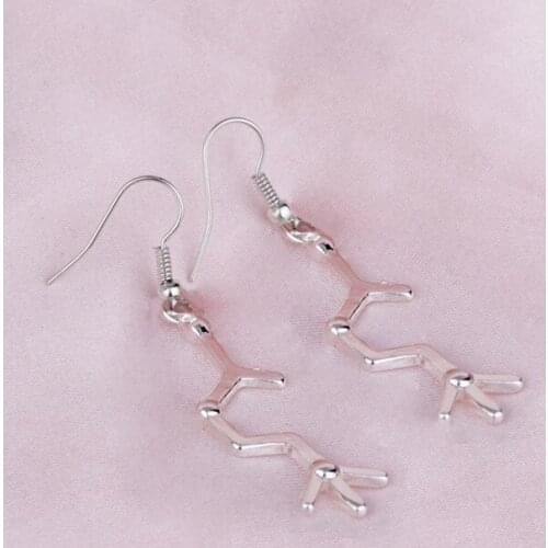 New Creative Chemical Molecular Silver Earrings Fashion Science Ear Ring Ear Stud Classmates and Teachers Friends Gift