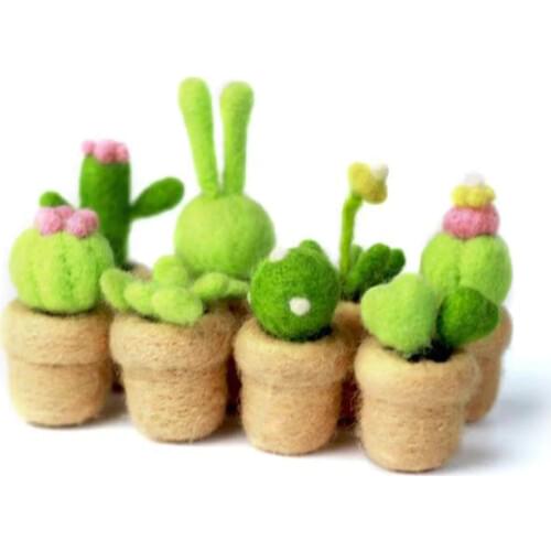 Easyhandmade Cute Succulent Plants Wool Felt DIY Package Diy Craft Kits for Adults Kids Decorations Felt Toys---without tools
