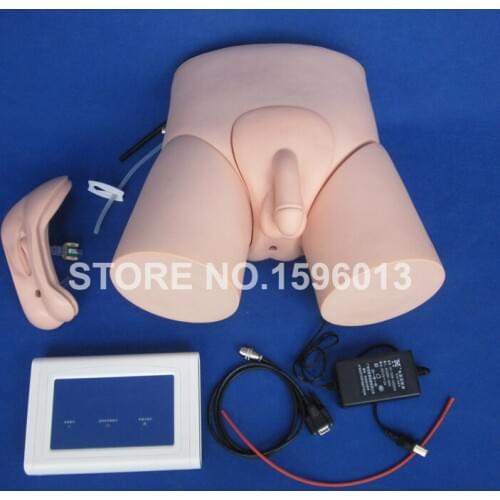 Electronic Urethral Catheterization and Enema Model,Male and Female Catheterization Manikin