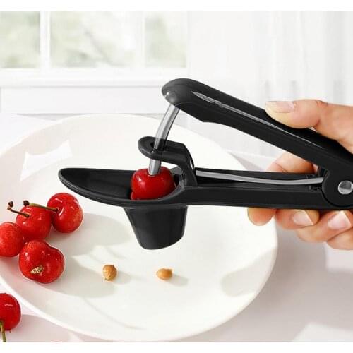 Stainless Steel Cherry Pitter Fruit Corer Seed Remover For Jujube Hawthorn Fruit Vegetable Tool Cherry Corer Seed Remover