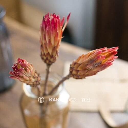 Imported Northern European-Style Natural Dried Flower Art Bouquet Wedding Home Decoration Photographic Prop Snow Lotus Branch