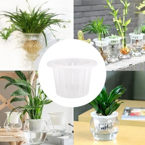 Hydroponics Baskets Soilless Culture Vegetable Net Pots 2 Inch Household Garden PP White Heavy Duty Plastic Planting Cup Set