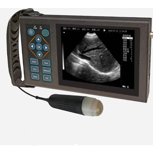 Portable Veterinary Ultrasound Vet Ultrasound Animal Pregnancy Ultrasound Scanner Machine for sheeps and pigs
