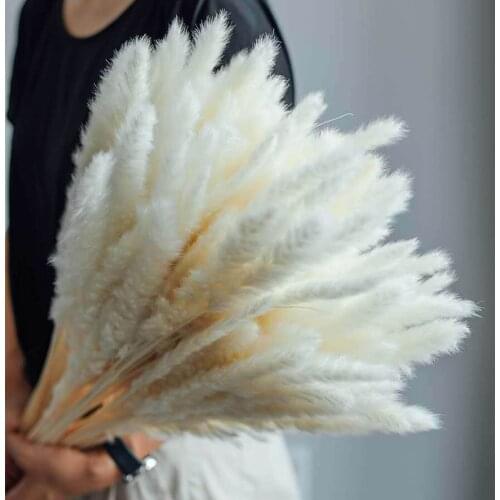 15PC Bouquet of dried reed flowers Boho Decoration Dried Decoration Dried Flowers Vases Bouquet Boho Decoration Branches