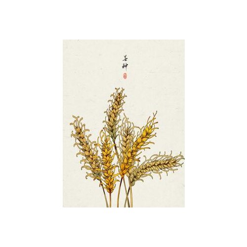 24style Original Chinese Wall Art 24 Kinds Of Festivals Art Film Print Silk Poster for Your Home Wall Decor 24x36inch