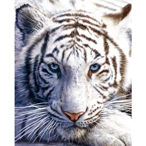 Memory Home Blankets Funny White Tiger Animal Comfy Funny Blanket Coral Fleece Fabric Sofa Bed Kid Adult Warm Throw Blanket
