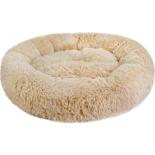 Не Один Дома 