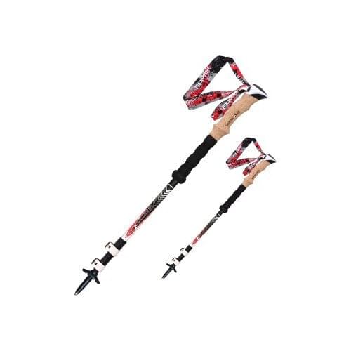 Pioneer 2pcs a lot Ultra-light Carbon Fiber Walking Cane Hiking Camping Trekking Poles EVA handle Telescopic Alpenstocks