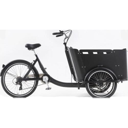 4 Seats Electric Family Cargo Bike Adult Tricycle for Transport and Grocery Shopping The Most Advanced Cargo Bike Ever Built