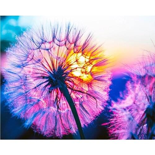 Full Square/round Diamond 5D DIY Diamond Painting Dandelion Embroidery Cross Stitch Rhinestone Mosaic Home Decor