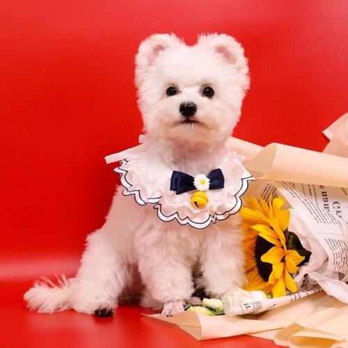 White Lace Daisy Princess Dog Bows Necklace Bib Sweet Dog Bowknot with Bell Pet Puppy Scarf Kitty Accessories Neck Strap York