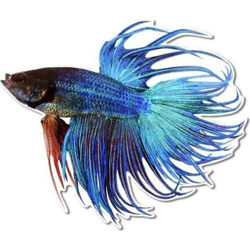 Car Stickers Decor Motorcycle Decals Betta Fish Decorative Accessories Creative Sunscreen Waterproof PVC,13cm*4cm