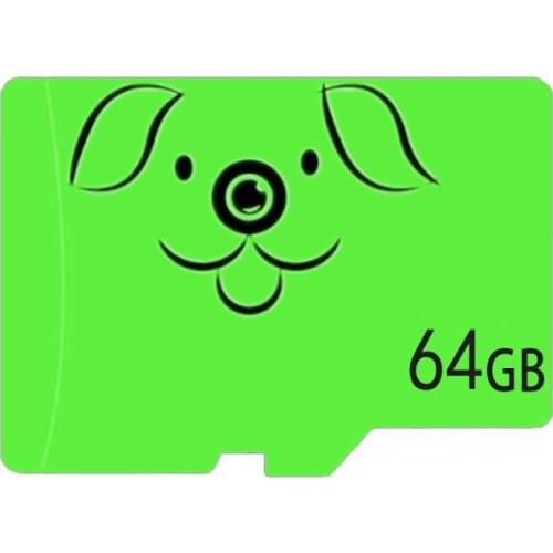 Felfial Memory Cards And SSD