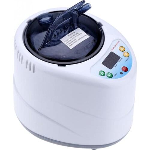 1000W 110V/220V 2L Fumigation Machine Home Steamer Steam Generator for Sauna Spa Tent Body Therapy
