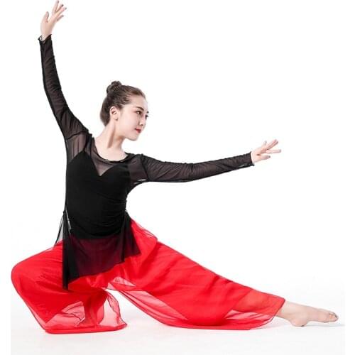 Latin Dance Lightweight gauze Top T-shirt Classical dance Tango Cha Salsa rumba modern Dance wear costumes Yoga Sling underwear