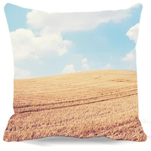 Broad rice field white orange cotton Printed Pillow Cases of new For car chair Coffee Shop Home Decorative