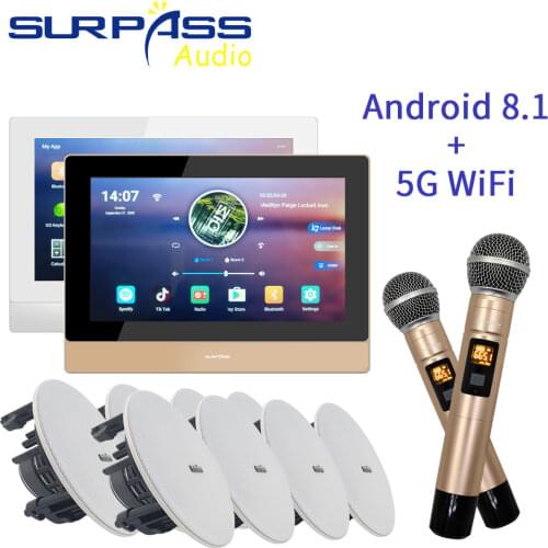 Smart Bluetooth WiFi Touch Screen Wall Android Amplifier PA Ceiling Speaker Wireless Microphone Home Karaoke Background Music