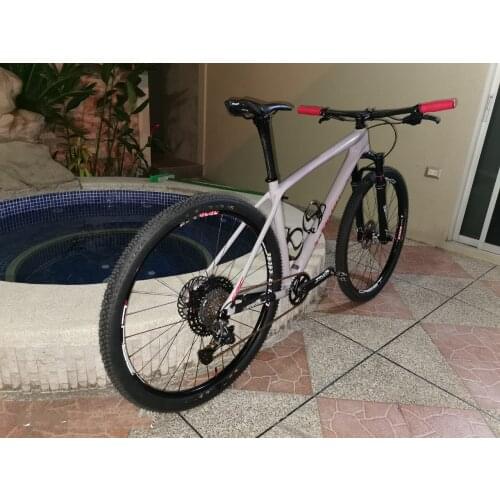 New Listing MTB carbon frame 29er custom logo axle shaft 148*12 carbon mountain bike frame multiple coated options