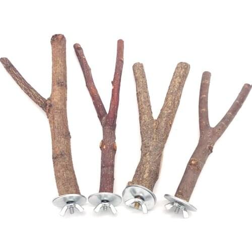 Natural Wood Pet Parrot Raw Wood Fork Tree Branch Stand Rack Squirrel Bird Hamster Branch Perches Chew Bite Toys Stick Supplies