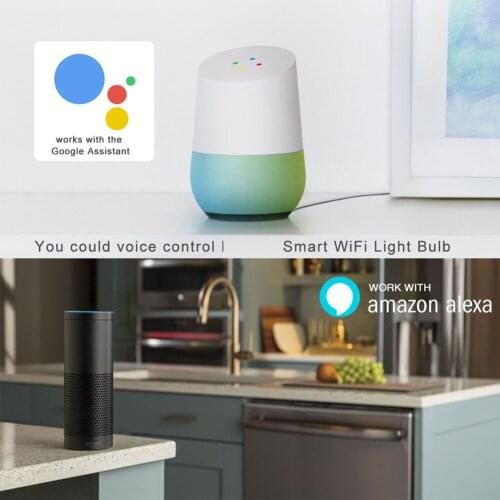 Alloet Spotlights