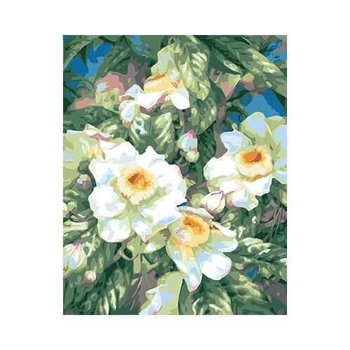 PAINTBOY Flower Framed Pictures DIY Painting By Numbers Handwork Canvas Oil Painting Home Decor For Living Room