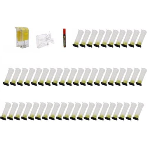 Beekeeping Bee Plastic Queen Rearing Cage Cup Box Protection Cover Catcher Protective Base Bees Tools Beekeeping Equipment