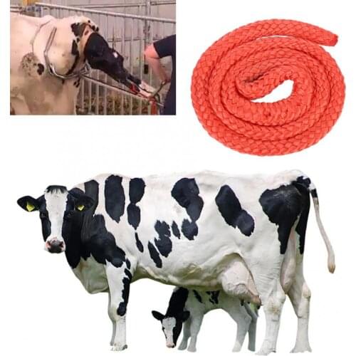 Durable Farm Livestock Cow Obstetric Midwifery Apparatus Delivery Rope Accessory