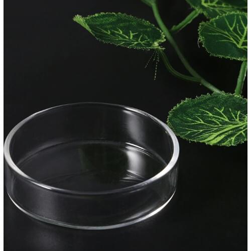 Clear Glass Shrimp Food Round Dishes Small Fish Feeding Bowl Ornamental Supplies