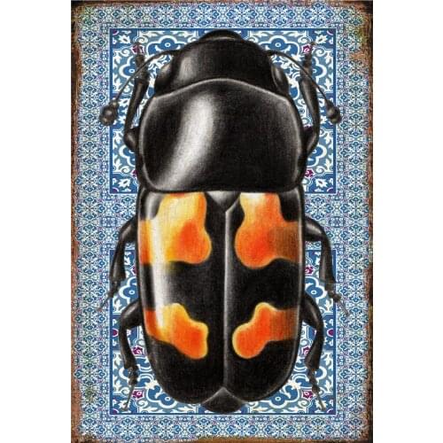 Tin Sign Garden Decoration Outdoor Beetles Vintage Metal Plates Insects Posters on the Wall Stickers Butterflies Retro Decor