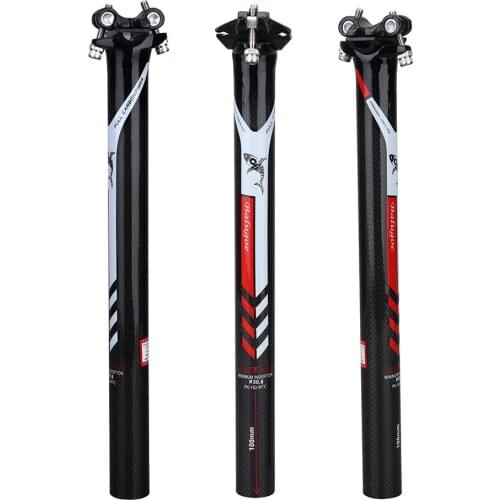 BALUGOE 3K Carbon Bike Seatpost Double Nail Road Bicycle Seatposts Carbon Fibre MTB Seat Post Ultralight Cycling Seat Tube