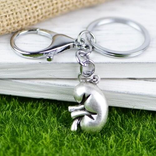 Tkuamigo Trend Punk Anatomical Kidney Keychain Human Anatomy Biology Jewelry Renal Nephrologist Gift for Encourage 18*25mm