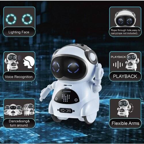 Erilles Programmable Robots