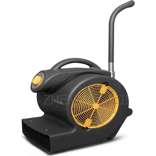 750W Industry Fan Dehumidification Removable Hair Dryer Carpet Floor Commercial Office Hotel Cinema Banquet Hall Ground Dryer