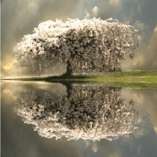 5D Diamond Mosaic Full Squarer/Round Diamond Embroidery tree DIY Diamond Painting Cross stitch Rhinestone Decor Paintings KL25