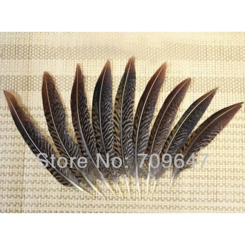 Pheasant Feathers! 50Pcs/Lot 10-15cm 4-6inches Loose Natural Golden Pheasant Tail Feathers,Golden Pheasant Tails