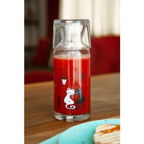 Joy Kitchen Glass Water Bottles