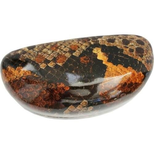Brown Case Snake Sunglasses Snake Python Anaconda Python Cobra Reptile