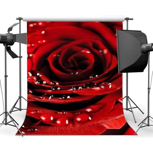 Blooming Fresh Red Rose Flower Backdrop Valentines Day Dewdrop Romantic Wallpaper Photography Background Lover Party Decoration