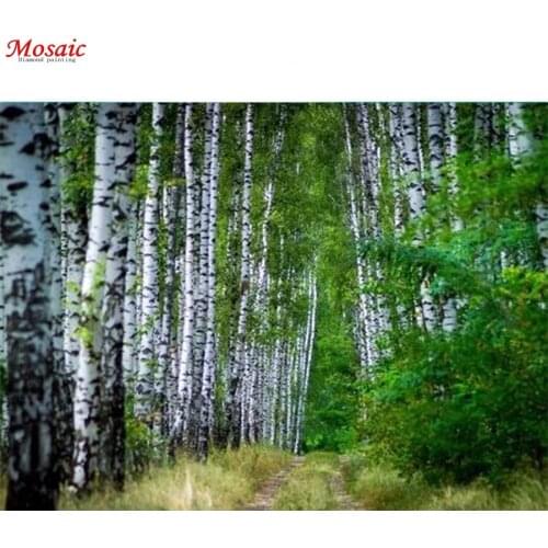Full Square Diamond Painting Display White Birch Landscape 5D DIY Diamond Embroidery Full Rhinestones Mosaic Home Decor
