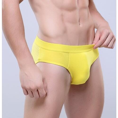 Bikini Underwear Male Panties 2020 New Cotton Sexy Underwear Men Mesh Breathable Briefs