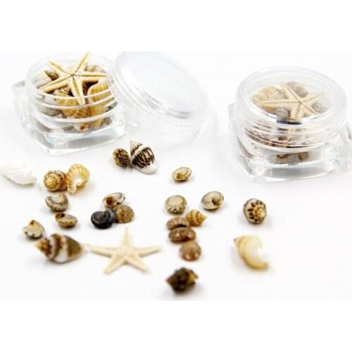 Small Natural Beach Seashell Starfish Nautical Decor Jewelry Glass DIY Fillers Nail Art Resin Fillings Jewelry Making